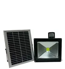 Solar induction electric lamp