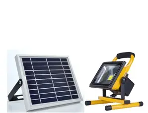 Solar induction electric lamp